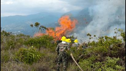 El ente de seguridad reveló que entre el 3 de noviembre pasado y el 20 de enero han ocurrido 237 incendios forestales que han afectado 131 municipios