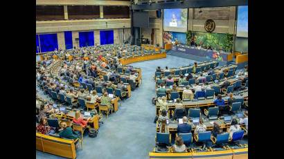 Ciencia y medio ambiente: temas a debate en la ONU