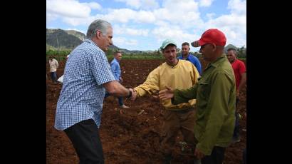 Presidente Díaz-Canel visita Pinar del Río