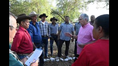 Recorre Díaz-Canel sitios de interés económico en Cauto Cristo