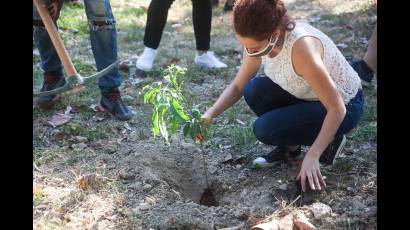 Deforestación