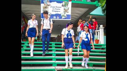 Las escuelas pedagógicas