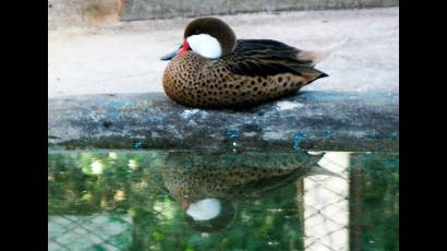 Entretenimiento y conexión con la naturaleza