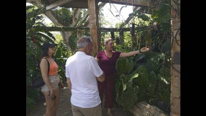 Jardín botánico Orquideario Soroa