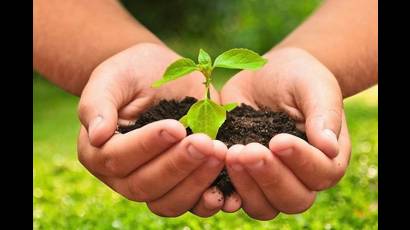 Científicos cubanos desarrollan plataforma para evaluar impacto del cambio climático