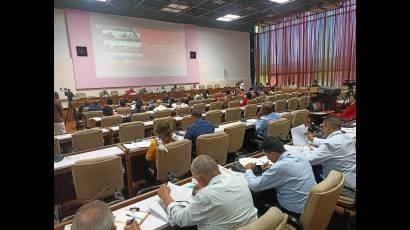 Comisiones permanentes de trabajo de la ANPP
