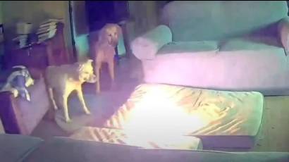 La desgracia podría haber sido peor si hay personas durmiendo