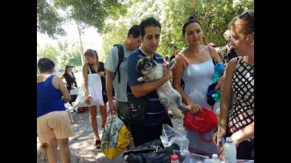 La feria