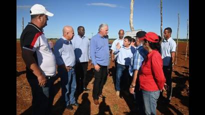 El Primer Secretario del Comité Central del Partido Comunista y Presidente de la República de Cuba, Miguel Díaz-Canel Bermúdez, visitó en la mañana de este sábado el municipio matancero de Pedro Betancourt
