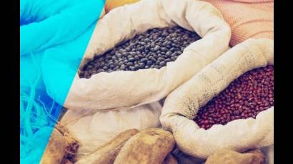 Por más controles en la venta liberada de arroz y frijoles