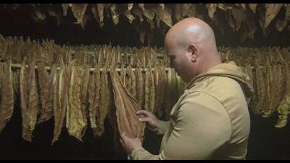 Nelson González Díaz es uno de los productores beneficiado con el proyecto de Desarrollo para la Producción Intensiva de la Capa.