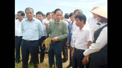 Canciller vietnamita visita empresas en Cuba