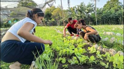 Jóvenes agricultura