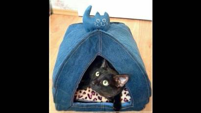 Un escondite en casa para tu mascota