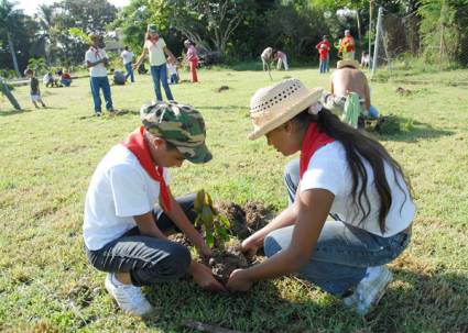 Jornada nacional de trabajo voluntario