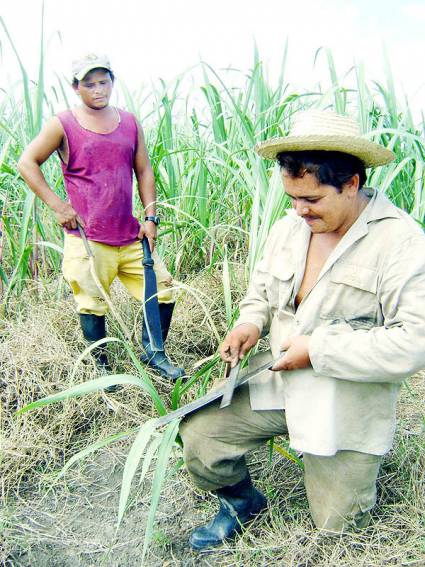 Reciben jóvenes pinareños reconocimiento Colectivo juvenil campesino destacado