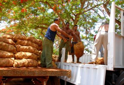 Hay muchas reservas internas de eficiencia