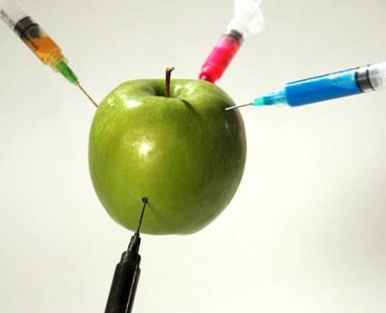 Promueven en Inglaterra producción de alimentos transgénicos