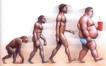 Evolución de la obesidad