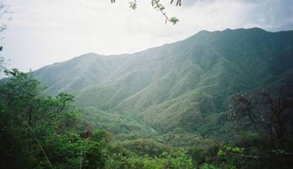 Pico Turquino