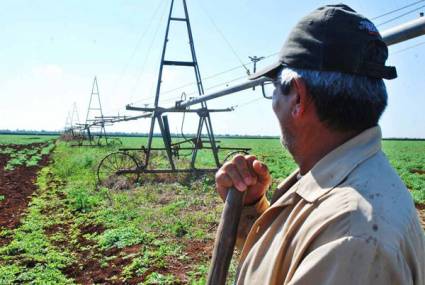 La fertilidad de los suelos para poner a parir al surco en beneficio colectivo