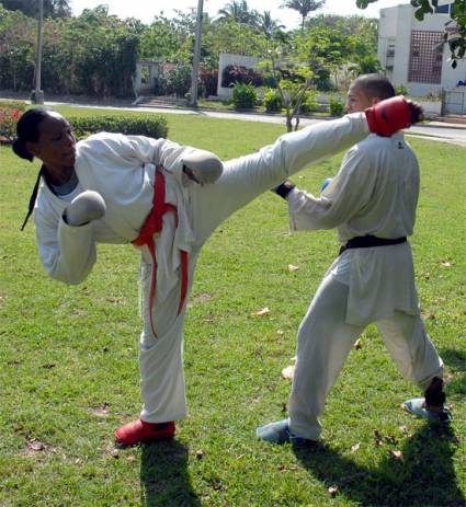 Copa Moncada de kárate