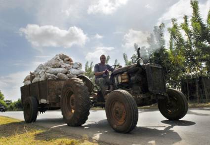 Jóvenes cubanos apuestan por la tierra