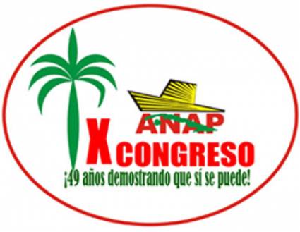 Logo de la ANAP