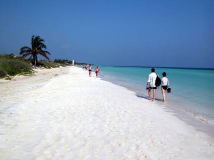 Jardines del Rey