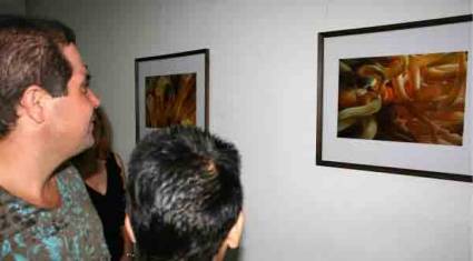 «Imágenes de la naturaleza»