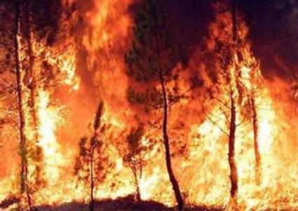 Incendios en Moscú