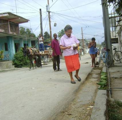 Aedes aegypti en Guantánamo