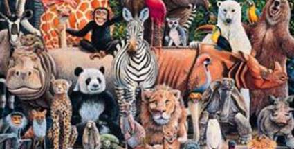 Animales invertebrados