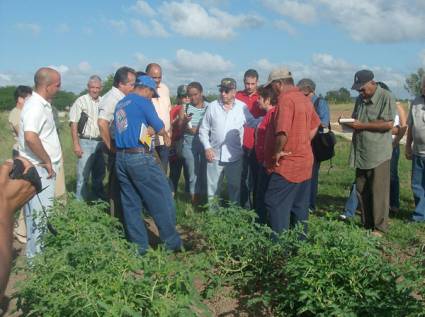 Machado Ventura recorre programas de la Agricultura en la Isla de la Juventud 
