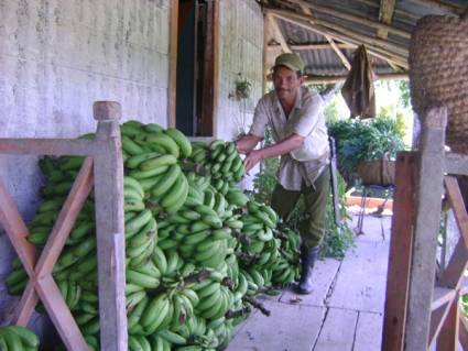 Agricultura