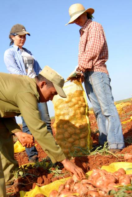 Jóvenes campesinos