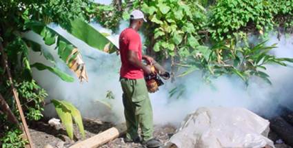 Batalla contra el mosquito Aedes aegypti