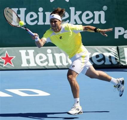 David Ferrer 