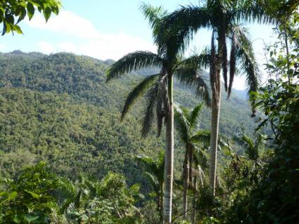 Paisajes cubanos