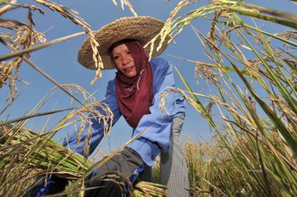 Mujer en labores agrícolas