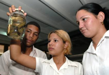 Jóvenes estudiantes 