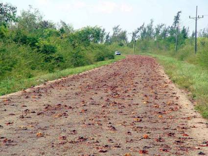 Carretera de Playa Larga a Girón