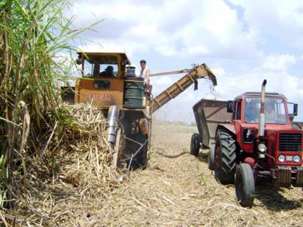 Zafras azucarera