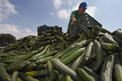 Agricultor andaluz