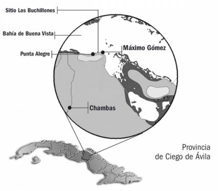 Área Arqueológica de Los Buchillones