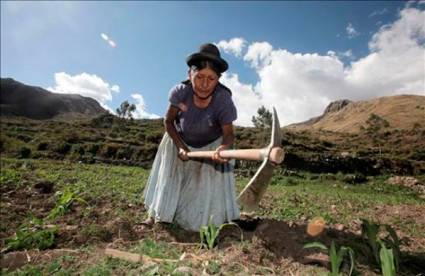 Campesina