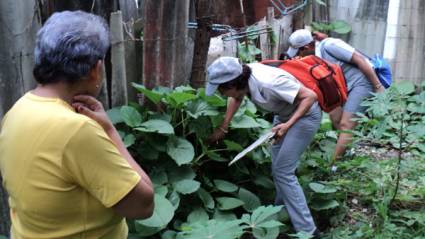 Programa de Control de Aedes aegypti