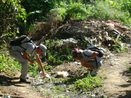 Enfrentamiento al Aedes aegypti