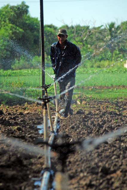 Agricultura en Granma