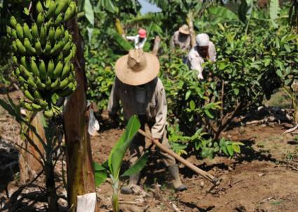 Agricultura